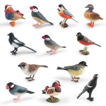 Conjunto de estatuetas Generic Realistic Bird 12 peças em PVC Kids 3+ Y