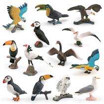 Conjunto de estatuetas Generic Realistic Bird 13 modelos, decoração infantil em PVC Conjunto de estatuetas Generic Realistic Bird 13 modelos, decoração infantil em PVC