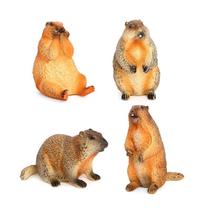 Conjunto de estatuetas realista de marmota e esquilo em PVC Wild Animal Conjunto de estatuetas realista de marmota e esquilo em PVC Wild Animal