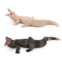 Conjunto de estatuetas realistas de crocodilo e jacaré, 6-20 cm, PVC, 2 peças Conjunto de estatuetas realistas de crocodilo e jacaré, 6-20 cm, PVC, 2 peças