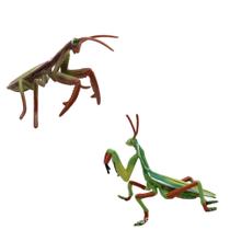 Conjunto de estatuetas realistas para orarem louva-a-deus e gafanhotos para crianças