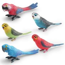 Conjunto de estatuetas Realistic Parrot and Budgie Bird x5 Kids Decor