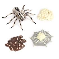 Conjunto de estatuetas Realistic Wolf Spider Life Cycle x4 Kids Toy Conjunto de estatuetas Realistic Wolf Spider Life Cycle x4 Kids Toy