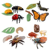 Conjunto de estatuetas Toymany Insect Life Cycle Monarch Butterfly Conjunto de estatuetas Toymany Insect Life Cycle Monarch Butterfly