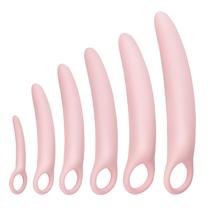Conjunto de Exercitadores do Assoalho Pélvico Lyniya com 6 Peças de Silicone Conjunto de Exercitadores do Assoalho Pélvico Lyniya com 6 Peças de Silicone