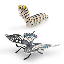 Conjunto de figuras Butterfly Life Cycle, brinquedo educacional para crianças em PVC Conjunto de figuras Butterfly Life Cycle, brinquedo educacional para crianças em PVC