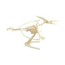Conjunto De Figuras De Ação De Dinossauro Jurássico DIY Para Crianças, Esqueleto De Mosassauro E