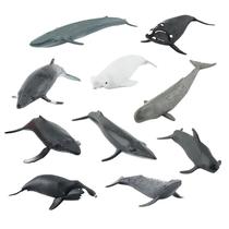 Conjunto de figuras de baleia, 10 peças de brinquedo infantil de PVC realista para animais marinhos Conjunto de figuras de baleia, 10 peças de brinquedo infantil de PVC realista para animais marinhos