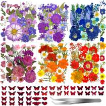 Conjunto de flores secas prensadas, 207 unidades para artesanato em resina com adesivos