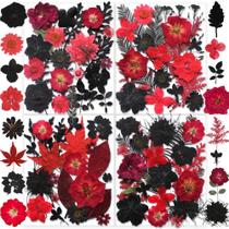 Conjunto de flores secas prensadas YouthBro Real Nature 141 unidades Conjunto de flores secas prensadas YouthBro Real Nature 141 unidades