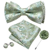 Conjunto de gravata borboleta Barry.Wang Floral Sage Green Light Blue Silk