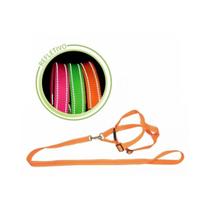 Conjunto de guia e peitoral neon Conjunto de guia e peitoral neon