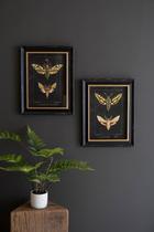 Conjunto de impressão Kalalou Framed Moth Print 13,5 x 18 cm (conjunto de 2)