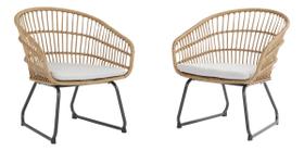 Conjunto De Jardim Aco Bege 2 Pecas Poltronas