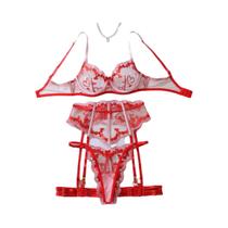 Conjunto De Lingerie Em Tule Com Bordado De Coração Em Bloco De Cores, Sexy, Com Modelagem De Conjunto De Lingerie Em Tule Com Bordado De Coração Em Bloco De Cores, Sexy, Com Modelagem De