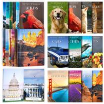 Conjunto de livros ilustrados Neoflavie, pacote com 12 unidades para idosos com demência Conjunto de livros ilustrados Neoflavie, pacote com 12 unidades para idosos com demência
