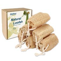 Conjunto de loofa natural Loofah Sponge Balifeel, pacote com 6 esfoliantes Conjunto de loofa natural Loofah Sponge Balifeel, pacote com 6 esfoliantes