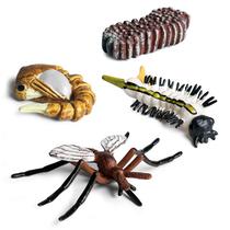 Conjunto de miniestatuetas do ciclo de crescimento de insetos, 4 unidades mosquito, formiga Conjunto de miniestatuetas do ciclo de crescimento de insetos, 4 unidades mosquito, formiga