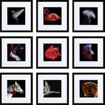 Conjunto de molduras HEART ART 10x10cm para fotos de 6x6cm x9 pretas
