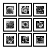 Conjunto de molduras Pojah Black 9 Square Photo 30x30cm