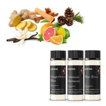 Conjunto de óleos essenciais Scentia Christmas 3x20ml Winter Scents