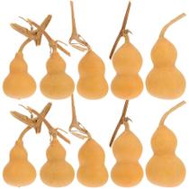 Conjunto de ornamentos de cabaça BESPORTBLE Mini cabaça natural de 10 peças