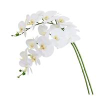 Conjunto De Orquídeas Artificiais De 69cm De Altura, 2 Peças, Toque Real, 9 Cabeças, Flores Falsas Conjunto De Orquídeas Artificiais De 69cm De Altura, 2 Peças, Toque Real, 9 Cabeças, Flores Falsas