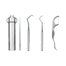 Conjunto De Palitos De Dente Portáteis De Aço Inoxidável Com Chaveiro, Kit De Limpeza Dental
