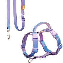 Conjunto de peitoral e guia para cães DF No Pull Martingale Arco-Íris 84-108 cm Conjunto de peitoral e guia para cães DF No Pull Martingale Arco-Íris 84-108 cm