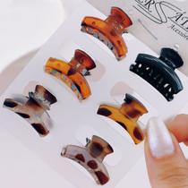 Conjunto de piranha para cabelo