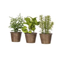 Conjunto de plantas em vasos verdes artificiais Vickerman Everyday 7 Conjunto de plantas em vasos verdes artificiais Vickerman Everyday 7