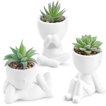 Conjunto de plantas suculentas artificiais, 3 peças com vasos para decoração de casa Conjunto de plantas suculentas artificiais, 3 peças com vasos para decoração de casa