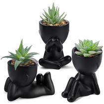 Conjunto de plantas suculentas artificiais com vasos pretos - 3 unidades