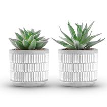 Conjunto de plantas suculentas artificiais Der Rose para decoração de casa
