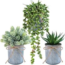 Conjunto de plantas suculentas artificiais em vasos Winlyn Farmhouse x3