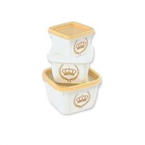 Conjunto de Potes Conect 3 unidades Coroa Plasútil