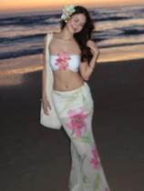 Conjunto De Praia Para Mulheres Com Top Mini Em Estampa De Flores 3D E Calças Transparentes Em Dois