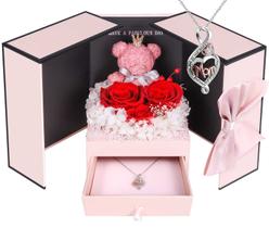 Conjunto de presentes Addwel Preserved Real Roses com colar de prata esterlina