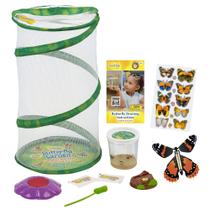 Conjunto de presentes Butterfly Garden Insect Lore 8 Habitat com lagartas