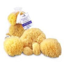 Conjunto de presentes de spa com vários pacotes Sea Sponges Constantia Beauty