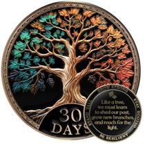 Conjunto de presentes Sobriety Coin Milestone Mint Tree of Life AA Chip