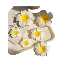 Conjunto De Presilhas De Cabelo Plumeria Para Mulheres, Acessórios De Cabelo Em Forma De Bico De
