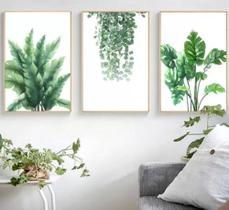 conjunto de quadros decorativos 3 peças Nórdico folhas verdes planta"