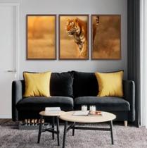 conjunto de quadros decorativos 3 peças Tigre Indiano"