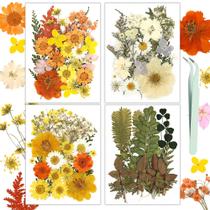 Conjunto de resinadores de flores secas de 100 unidades prensadas em amarelo e verde