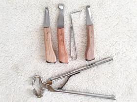 Conjunto De Rinetes Casqueamento Cavalo + Torquesa Torques Conjunto De Rinetes Casqueamento Cavalo + Torquesa Torques