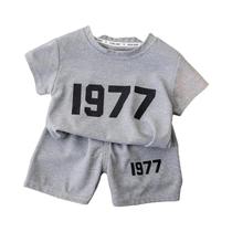 Conjunto De Roupas Casuais De Verão Para Meninos, Camiseta De Manga Curta E Calções, 1-4 Anos