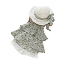 Conjunto De Roupas Infantis De Verão Para Meninas, Top De Chiffon Floral Com Alças, Shorts Bordados, Conjunto De Roupas Infantis De Verão Para Meninas, Top De Chiffon Floral Com Alças, Shorts Bordados,