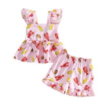 Conjunto de roupas PUHHAPIEY Toddler Baby Girls 18-24 meses Lagosta Conjunto de roupas PUHHAPIEY Toddler Baby Girls 18-24 meses Lagosta