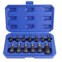 Conjunto de soquetes WORKPRO Torx Bit Hex T8-T60 de 13 peças 1/4, 3/8 e 1/2 Conjunto de soquetes WORKPRO Torx Bit Hex T8-T60 de 13 peças 1/4, 3/8 e 1/2